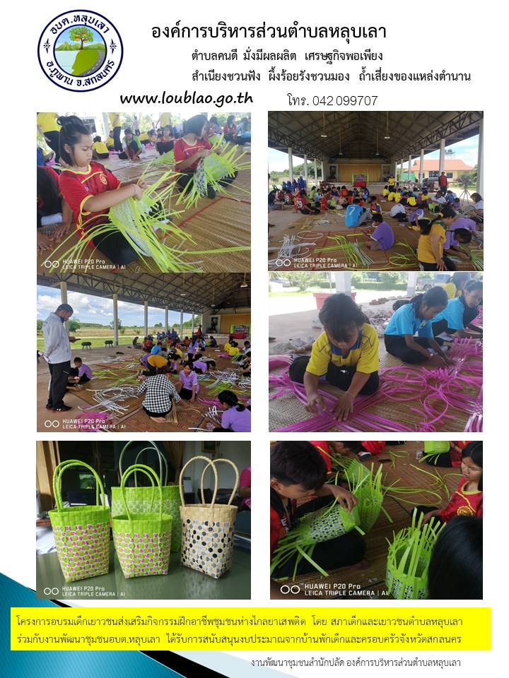 สภาเด็กและเยาวชนตำบลหลุบเลา